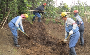 構内樹林地のマルチング作業